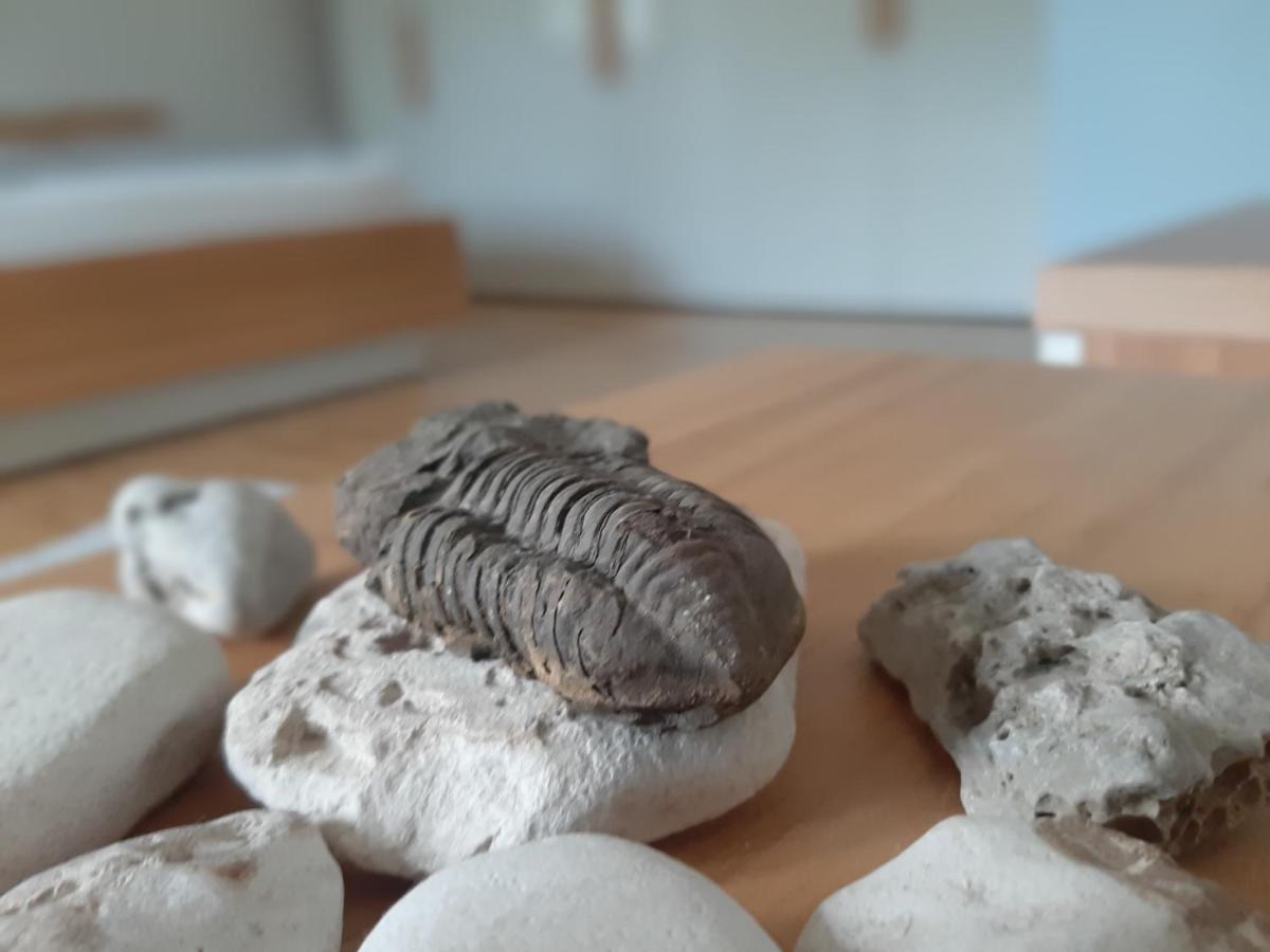 Apartman Dvorak 194 Pod Svatou Horou Příbram Exteriör bild