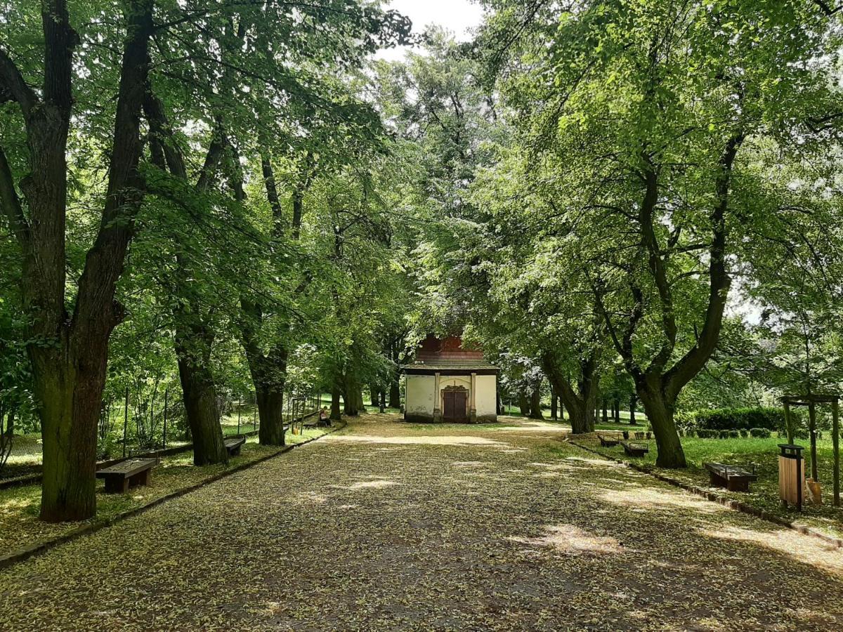 Apartman Dvorak 194 Pod Svatou Horou Příbram Exteriör bild